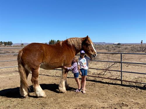 Gallery Image Cash_getting_a_hug(1).jpg