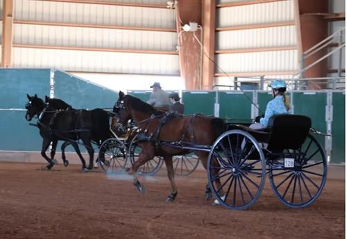 Gallery Image Katrina_and_Ronin_Oct_28_2023_driving_in_class_(1)(1).jpg