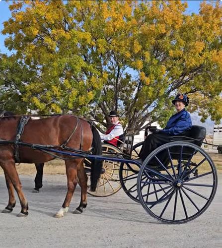 Gallery Image driving_kate_and_ken_show.JPG