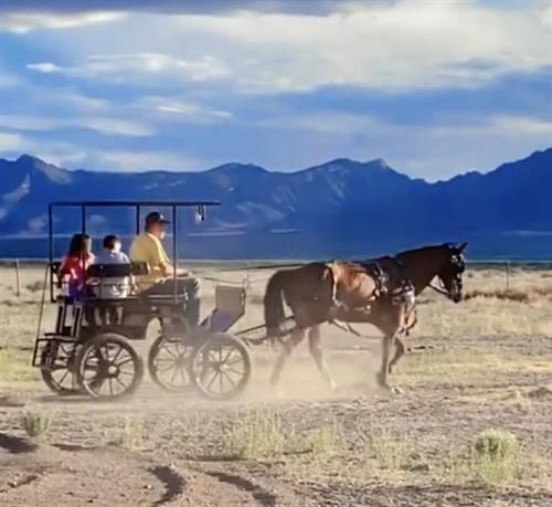 Gallery Image ronin_in_cart.jpg Gallery Image ronin_in_cart.jpg