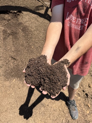 Screened Compost