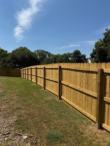 Gallery Image IMG_2708.jpeg