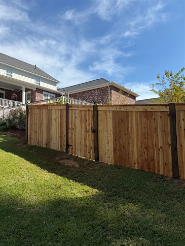 Gallery Image IMG_3628.jpeg