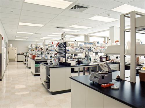 Novagen Laboratory Space