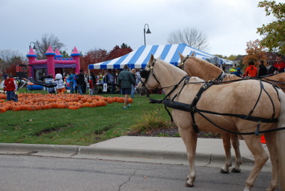 Horse and carriage rides at Oak Bank's Great Pumpkin Give Away