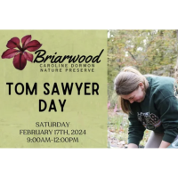 Tom Sawyer Day at the Briarwood Caroline Dormon Nature Reserve