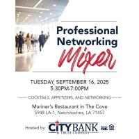Professional Networking Mixer