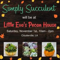 Simply Succulent at Little Eva's