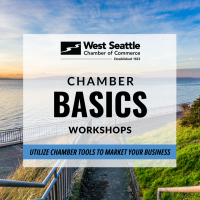Chamber Basics Workshop