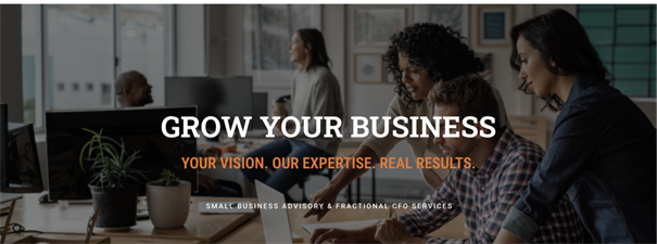 Spry Vision - Fractional CFO & Small Business Advisor