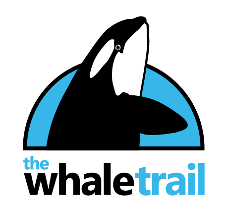 The Whale Trail The Whale Trail