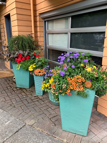 Gallery Image budgetblinds.jpg