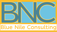 Blue Nile Consulting