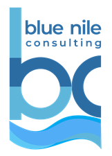 Blue Nile Consulting