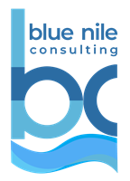 Blue Nile Consulting's New Website