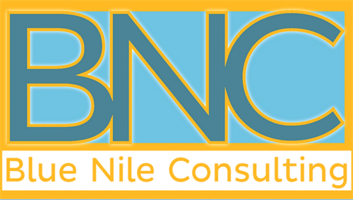 Blue Nile Consulting Logo