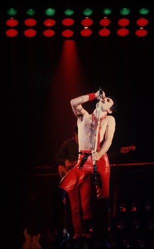 Gallery Image FreddieMercury-5.jpg