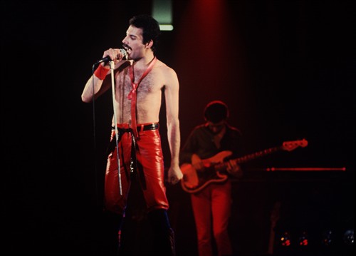 Gallery Image FreddieMercury-7.jpg