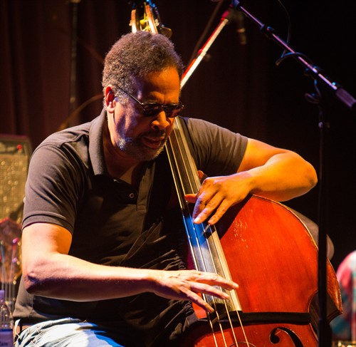 Gallery Image Stanley_Clarke-8540.jpg