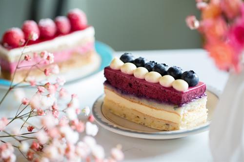 Gallery Image blueberry-2019.jpg Gallery Image blueberry-2019.jpg