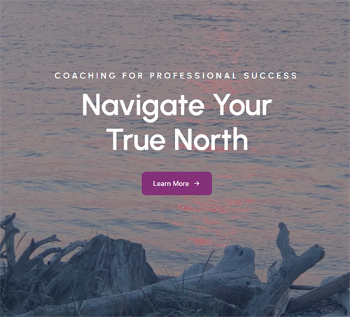 Coaching for Professional Success