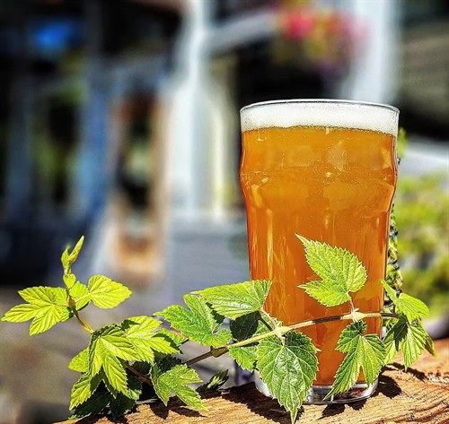 Beer and Hops