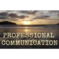 Professional Communication Workshop