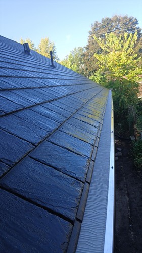 Gallery Image 203_5e29d5c2-11f3-429b-b0b2-a3ce5de0cc46.jpg