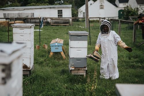 A naturalist in a beekeeping suit tending to hives at Shepard Farm.