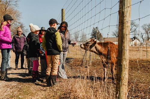 A naturalist guiding a group of visitors at Shepard Farm by the pasture.