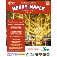 2024 Lighting of the Merry Maple