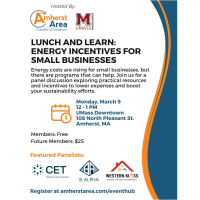 2026 Lunch & Learn: Energy Incentives for Small Businesses