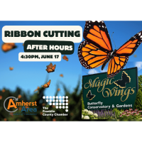 2026 June After 5: Magic Wings