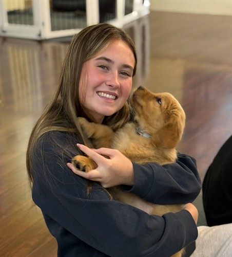 Happiness & joy connection