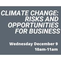 Climate Change: Risks and Opportunities for Business