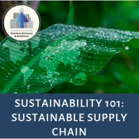 Sustainability 101: Sustainable Supply Chains