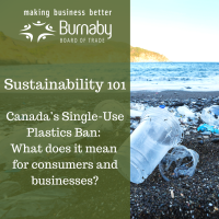 Sustainability 101: Canada's Single-Use Plastic Ban