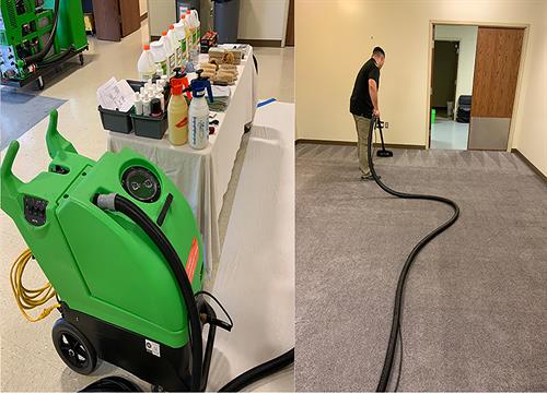 professional Carpet Cleaning