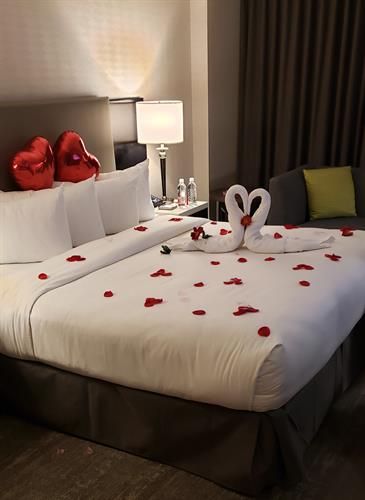 Hilton Vancouver Metrotown - Valentines