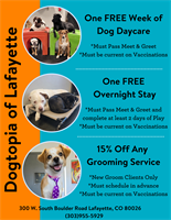 Dogtopia Lafayette - High Dog LLC - Lafayette, CO