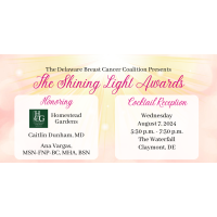 The 2024 Shining Light Awards