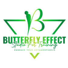 Butterfly Effect Studio for Training