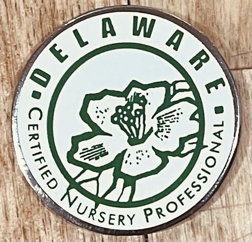 Gallery Image CNP_pin.jpg