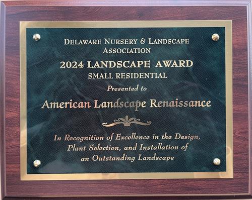 Gallery Image DNLA_Award_2024.jpg