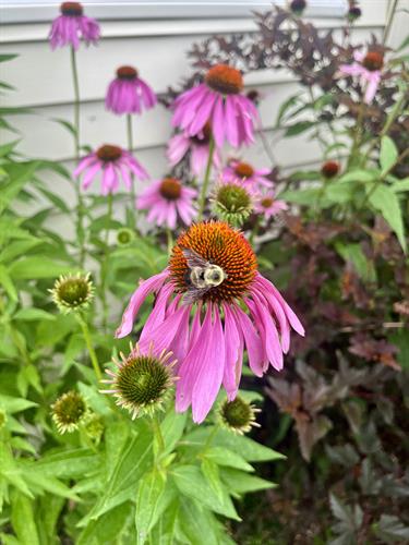 Gallery Image IMG_3667.jpg