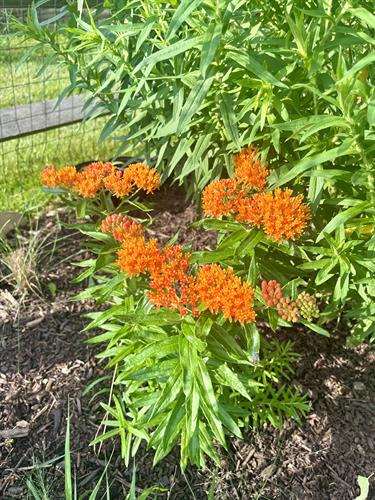 Gallery Image IMG_3675.jpg