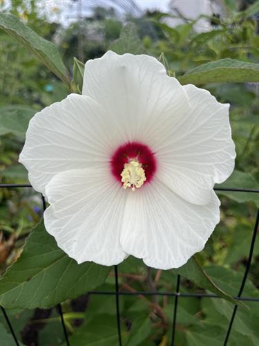 Gallery Image IMG_4592.jpg