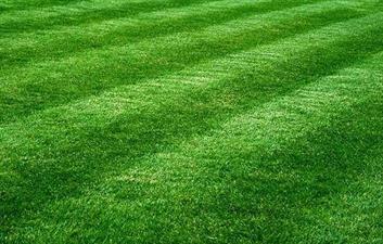 Releaf Property Services