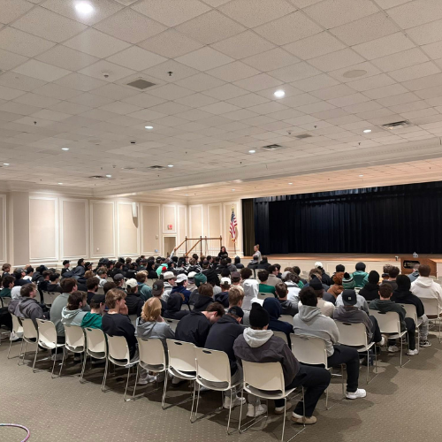 Gallery Image 14.png