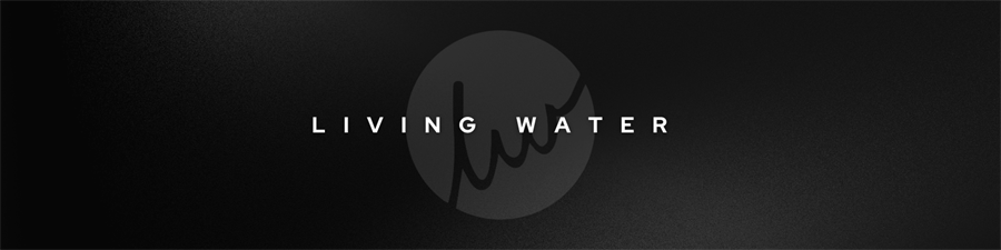 Living Water Consulting